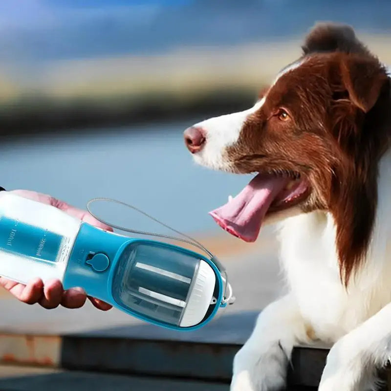 Multi-Functional Pet Travel Cup